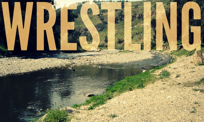 wrestling