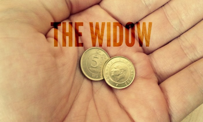 the-widow