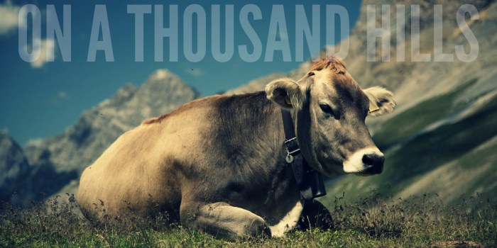 on a thousand hills.jpg