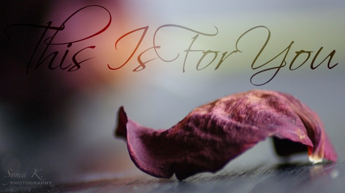 Check out this amazing photographer: https://symakphotography.wordpress.com/tag/dying-rose-photo/