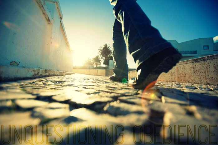 Unquestioning Obedience Edit