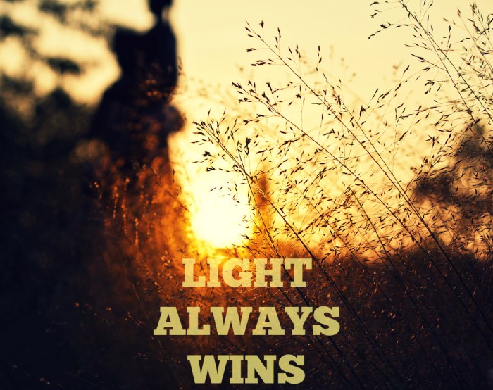 Light Always Wins