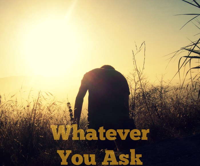 Whatever You Ask