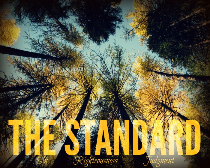 the standard