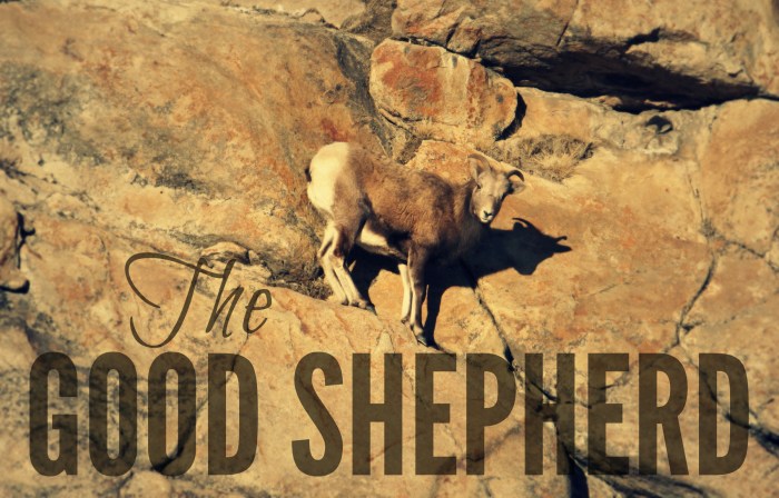 Good Shepherd