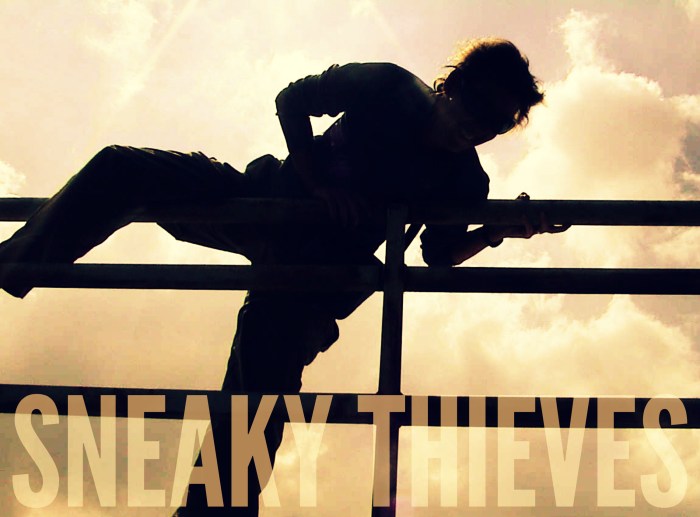 Sneaky Thieves