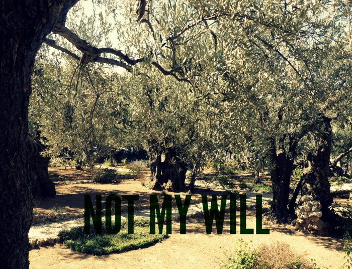 Not My Will