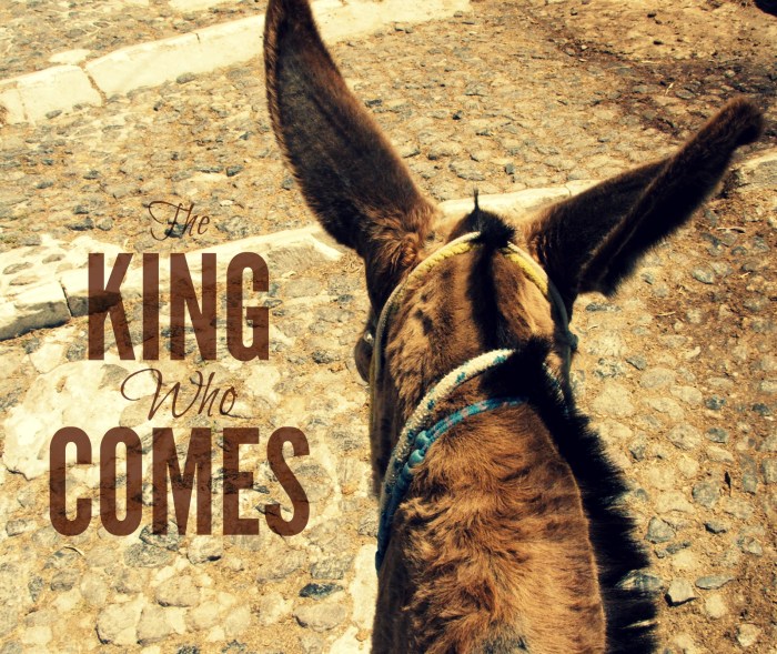 The King Who Comes