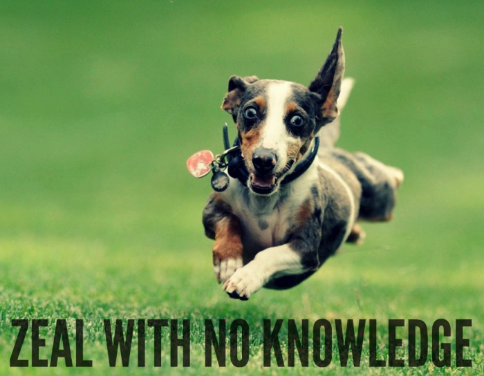 zeal with no knowledge