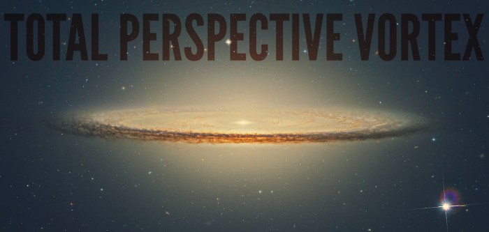 total perspective vortextrw