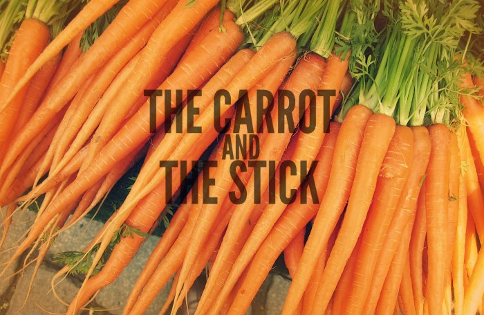 carrot and stick