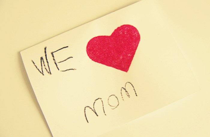 the-love-for-a-mother