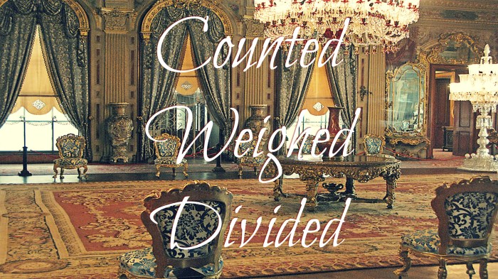 counted-weighed-divided