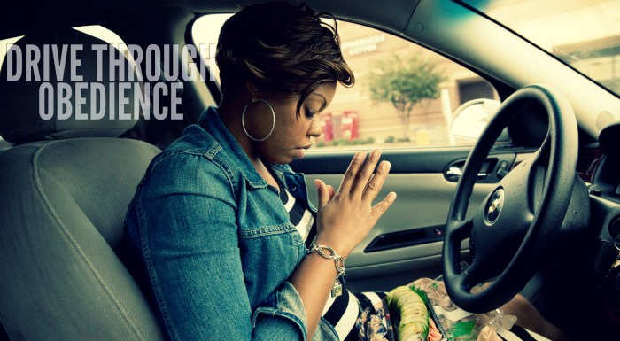 drive-through-obedience