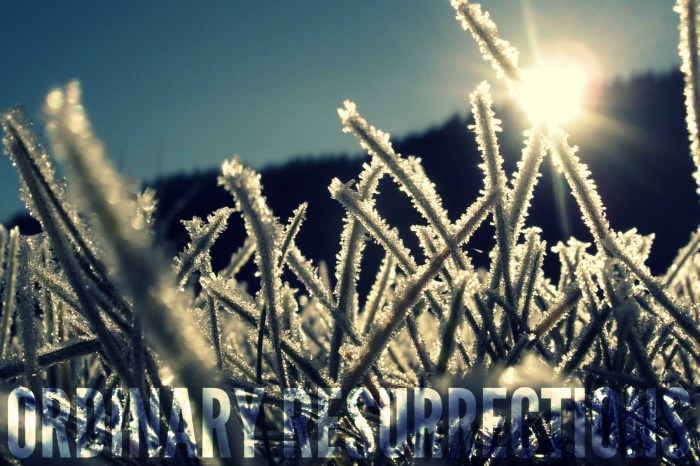 ordinary-resurrections1