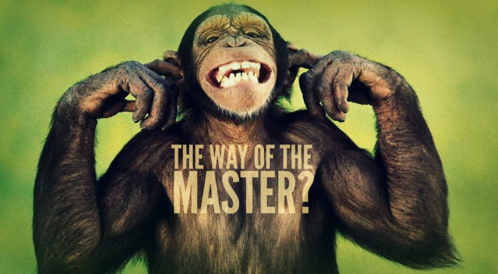 the-way-of-the-master